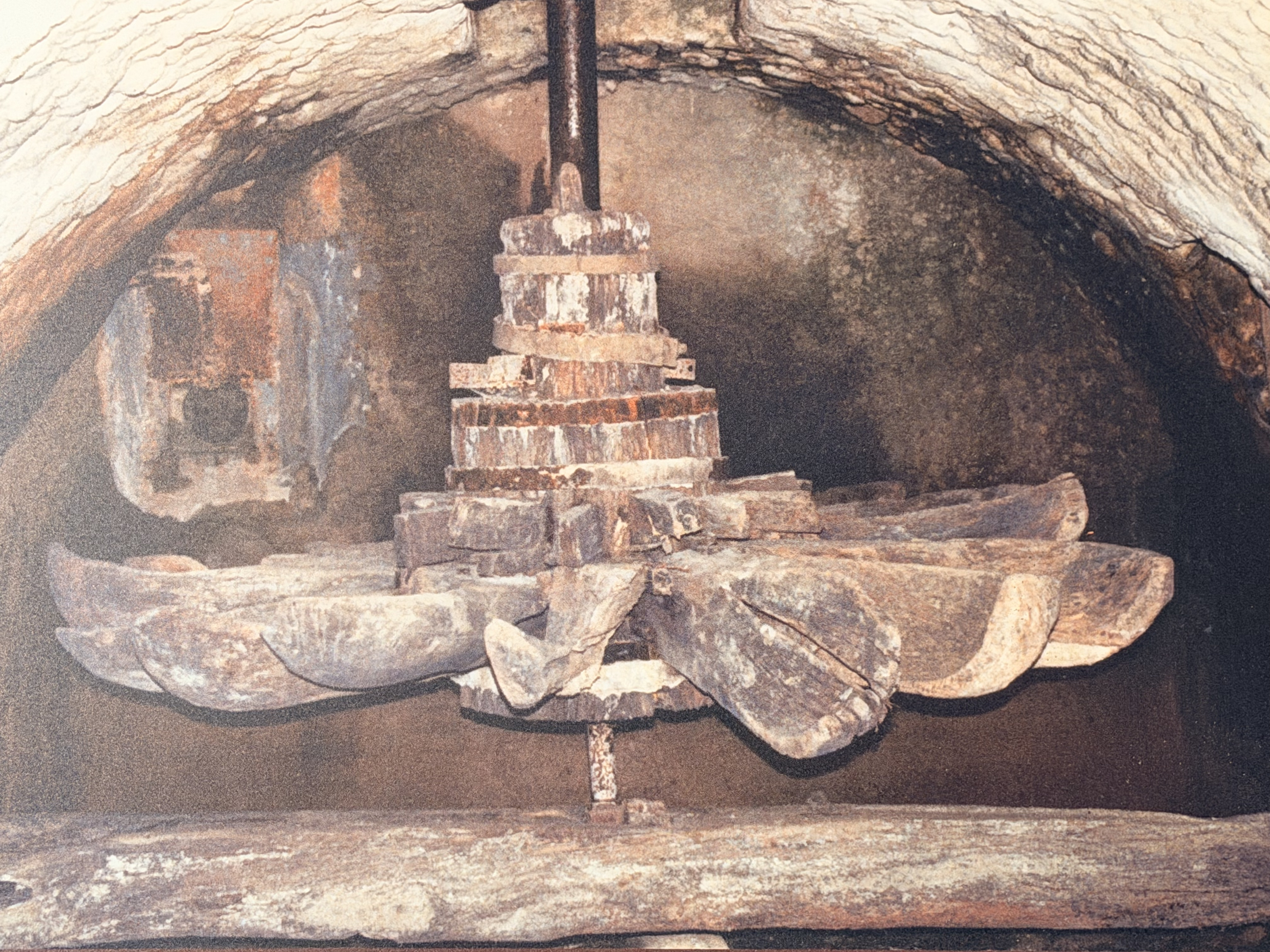 Facciata in pietra del Mulino Brandolini tra la vegetazione